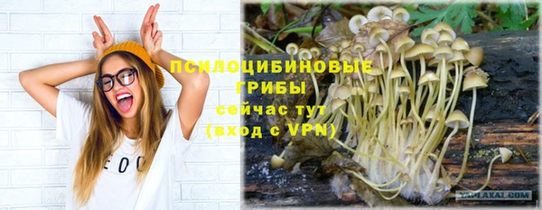 ГАЛЛЮЦИНОГЕННЫЕ ГРИБЫ Абдулино